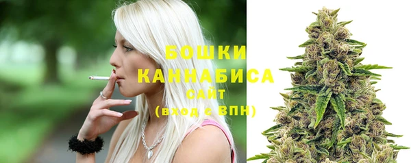 индика Пролетарск