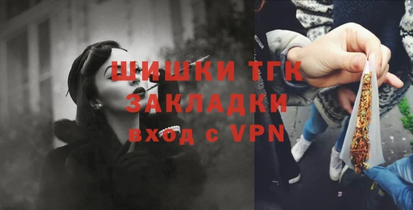 индика Пролетарск