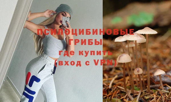 таблы Протвино