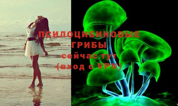 молекула духа Приозерск