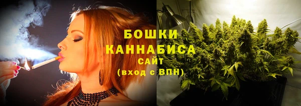 Альфа ПВП Мензелинск