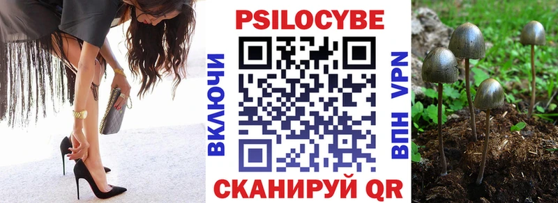 закладка  Спасск-Дальний  Галлюциногенные грибы Psilocybe 