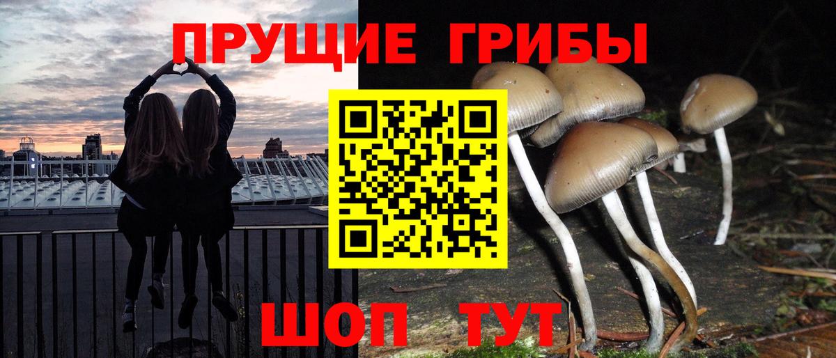 Галлюциногенные грибы GOLDEN TEACHER Спасск-Дальний