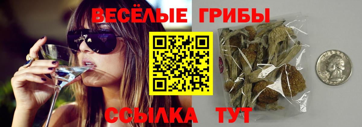 Псилоцибиновые грибы MAGIC MUSHROOMS  Вход с VPN  Спасск-Дальний 